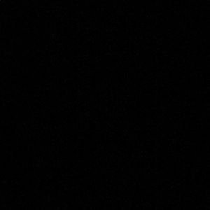 Meet your Posher, Jessie